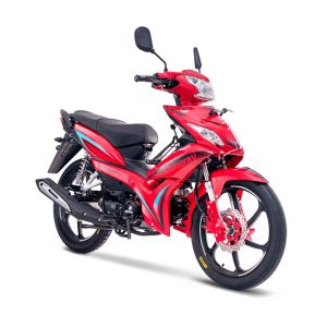 MOTOCICLETA SHINERAY CABALLITO XY125-30A 2027