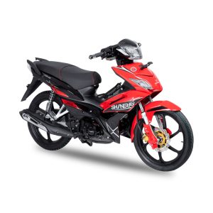 MOTOCICLETA SHINERAY CABALLITO XY125-30A AÑO 2026